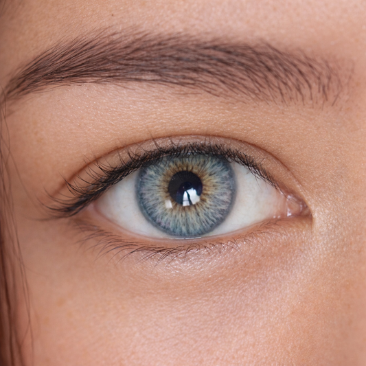 HORUS GREY BLUE